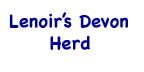 Lenoir's Devon Herd button